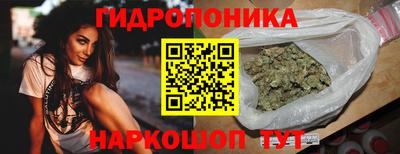индика Кизляр