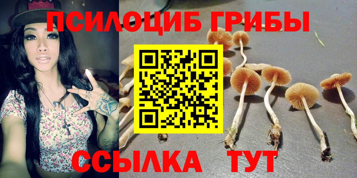 Псилоцибиновые грибы мухоморы  Псилоцибиновые грибы прущие грибы  Вход с VPN  Миасс 